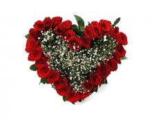 24 roses heart 24 roses heart
